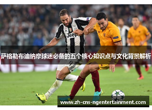 萨格勒布迪纳摩球迷必备的五个核心知识点与文化背景解析