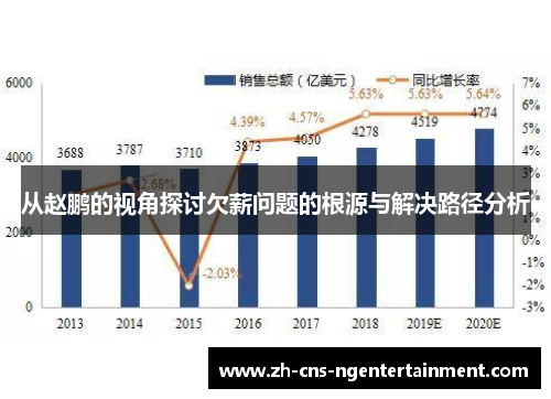 从赵鹏的视角探讨欠薪问题的根源与解决路径分析