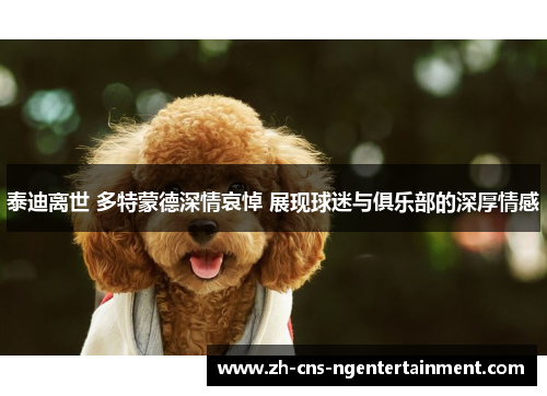 泰迪离世 多特蒙德深情哀悼 展现球迷与俱乐部的深厚情感