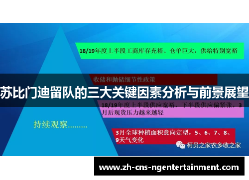 苏比门迪留队的三大关键因素分析与前景展望