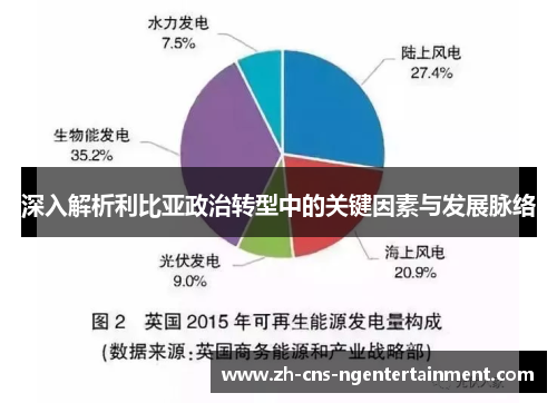 深入解析利比亚政治转型中的关键因素与发展脉络