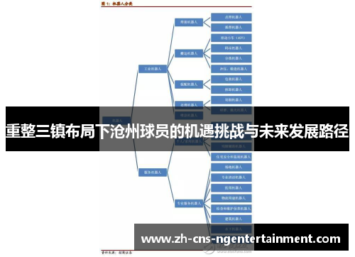 重整三镇布局下沧州球员的机遇挑战与未来发展路径