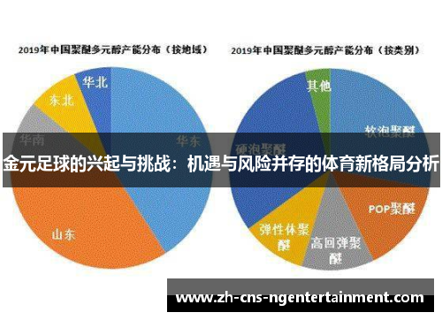 金元足球的兴起与挑战：机遇与风险并存的体育新格局分析