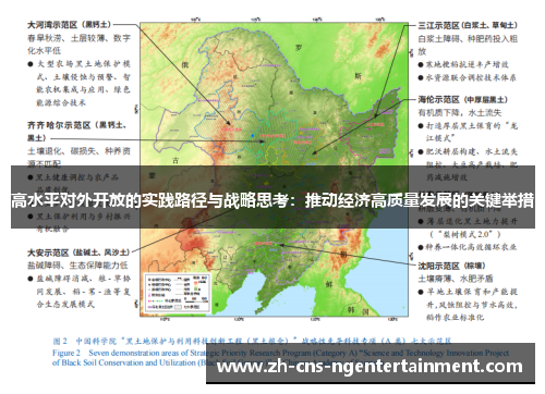 高水平对外开放的实践路径与战略思考：推动经济高质量发展的关键举措