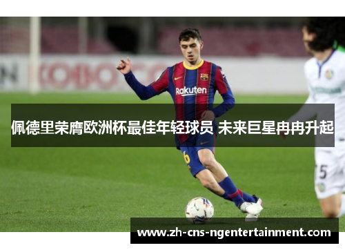 佩德里荣膺欧洲杯最佳年轻球员 未来巨星冉冉升起 佩德里荣膺欧洲杯最佳年轻球员 未来巨星冉冉升起